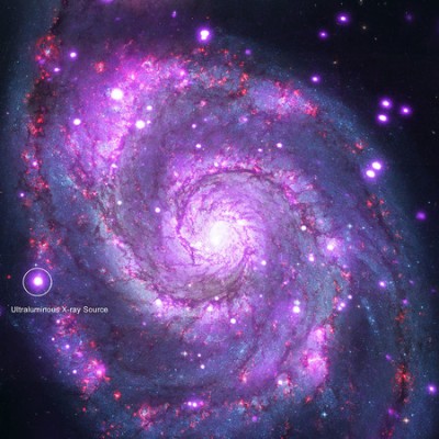 FHarrison_MBrightman-XRays-m51_NEWS-WEB Image of the Whirlpool galaxy, or M51. X-ray light seen by NASA's Chandra X-ray Observatory is shown in purple, and optical light from NASA's Hubble Space Telescope is red, green and blue. The ultraluminous X-ray source, or ULX, in the new Caltech-led study is indicated. Credit: NASA/CXC/Caltech/M.Brightman et al.; Optical: NASA/STScI