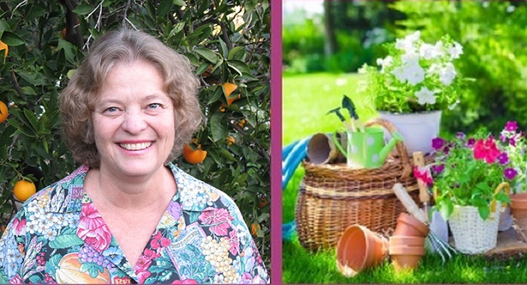 Learn About Container Gardens from Master Gardener Yvonne Savio