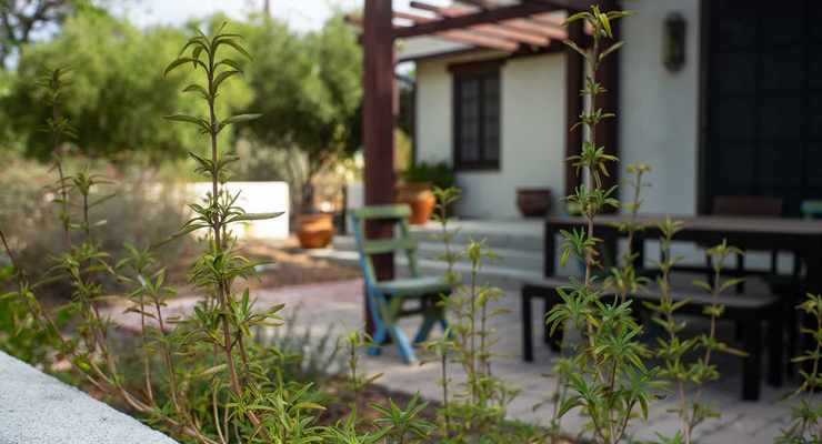 Theodore Payne Native Garden Tour to Feature Two Pasadena Gardens