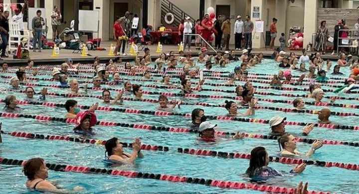 Swimmers Break Guinness World Record At Rose Bowl Aquatics Center Pasadena Now