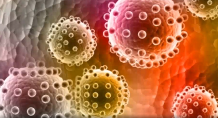 ZikaVirus Illustration of Zika virus in blood