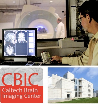 Caltech Scientists Can Predict Intelligence from Brain Scans