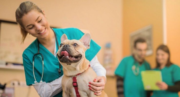 Pasadena S Integrity College Of Health Announces New Veterinary