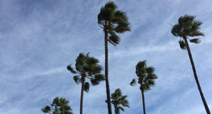 Rainy Weather Moves Out of Pasadena; Cold Wind Gusts Sweep In