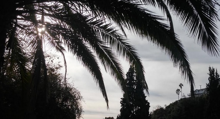 Cooling Trend to Lower the Heat – Pasadena Now