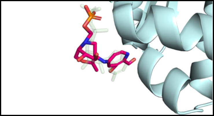 At Caltech, New AI Model for Drug Design Brings More Physics to Bear in Predictions