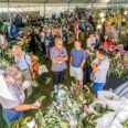 Orchids Get Their DNA Symphony