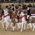Rose Parade Equestrian Units Preview Their Skills