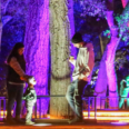 Descanso Gardens’ ‘Enchanted’ Forest Marks a Decade