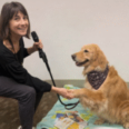 Golden Retriever Cody Returns to San Rafael Library