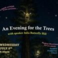 The Woman Who Lived in a Redwood Speaks Up
