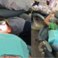 Free Dental Van Parks at Jefferson Branch Library