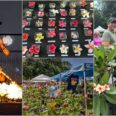 Arboretum’s 12th Annual Plumeria Festival
