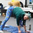 Pasadena Cat Cafe Opens Its Adoption Lounge to Up to 20 Yogis