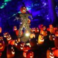 Carved Returns To Descanso Gardens In Just Two Weeks