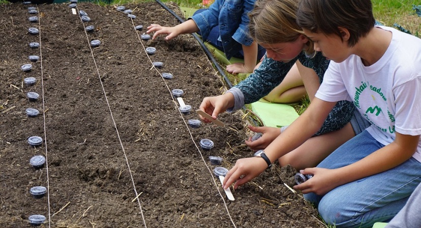 The Waverly School Farm - Pasadena Schools