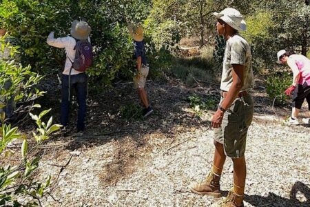 Unleash Your Inner Gardener at the Art of Citrus Care & Pruning Workshop at Arlington Garden