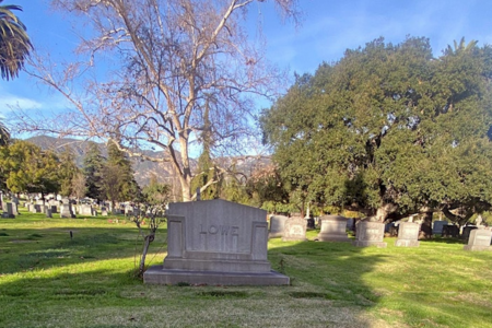 Nocturnal Nature Walk to Illuminate Cemetery’s Hidden Wildlife