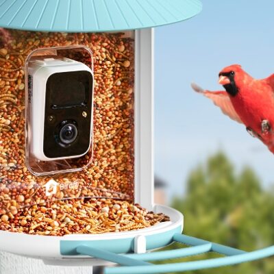 Birdfy’s Smart Bird Feeders Push Boundaries of Backyard Nature Watching