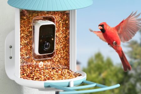 Birdfy’s Smart Bird Feeders Push Boundaries of Backyard Nature Watching